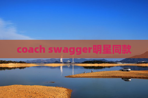coach swagger明星同款